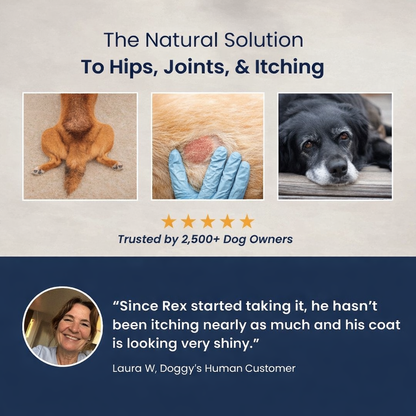 Doggy's Human Multivitamin™ Soft Chews