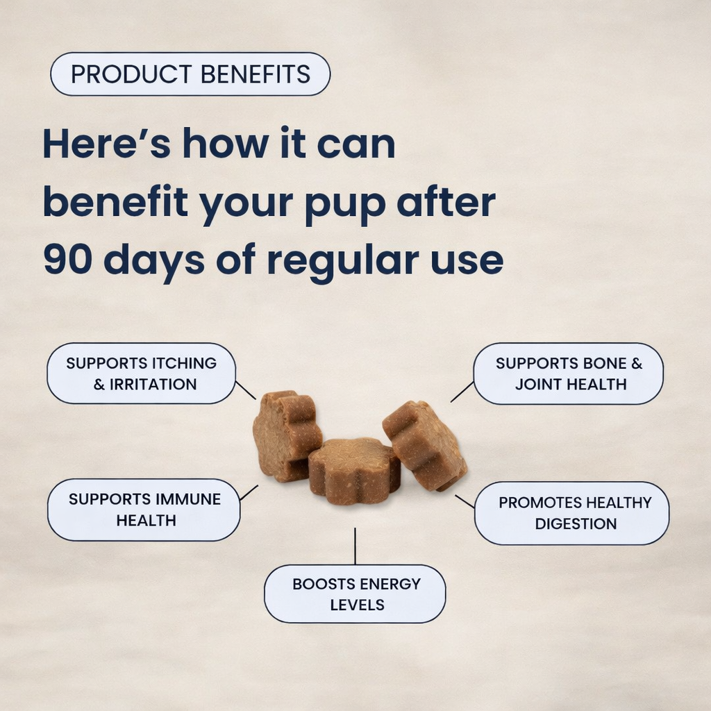 Doggy's Human Multivitamin™ Soft Chews
