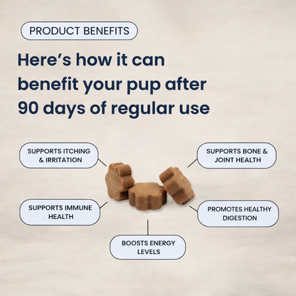 Doggy's Human Multivitamin™ Soft Chews