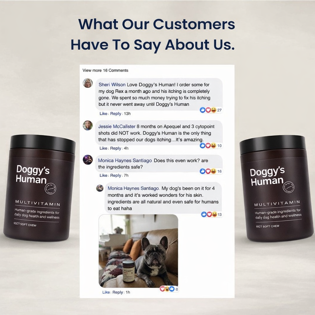 Doggy's Human Multivitamin™ Soft Chews